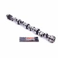 Codicilos XXX08224HR Bootlegger Hydraulic Roller Camshaft for 1992-1995 Small Block Chevrolet V8 LT1 CO3621403